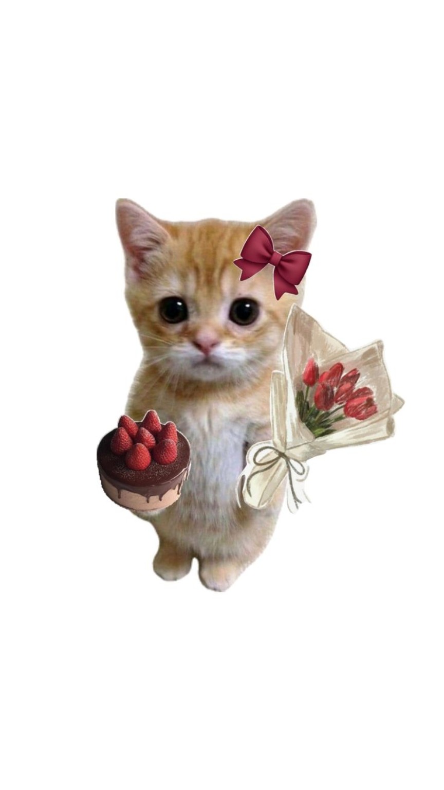 kitten with flowers